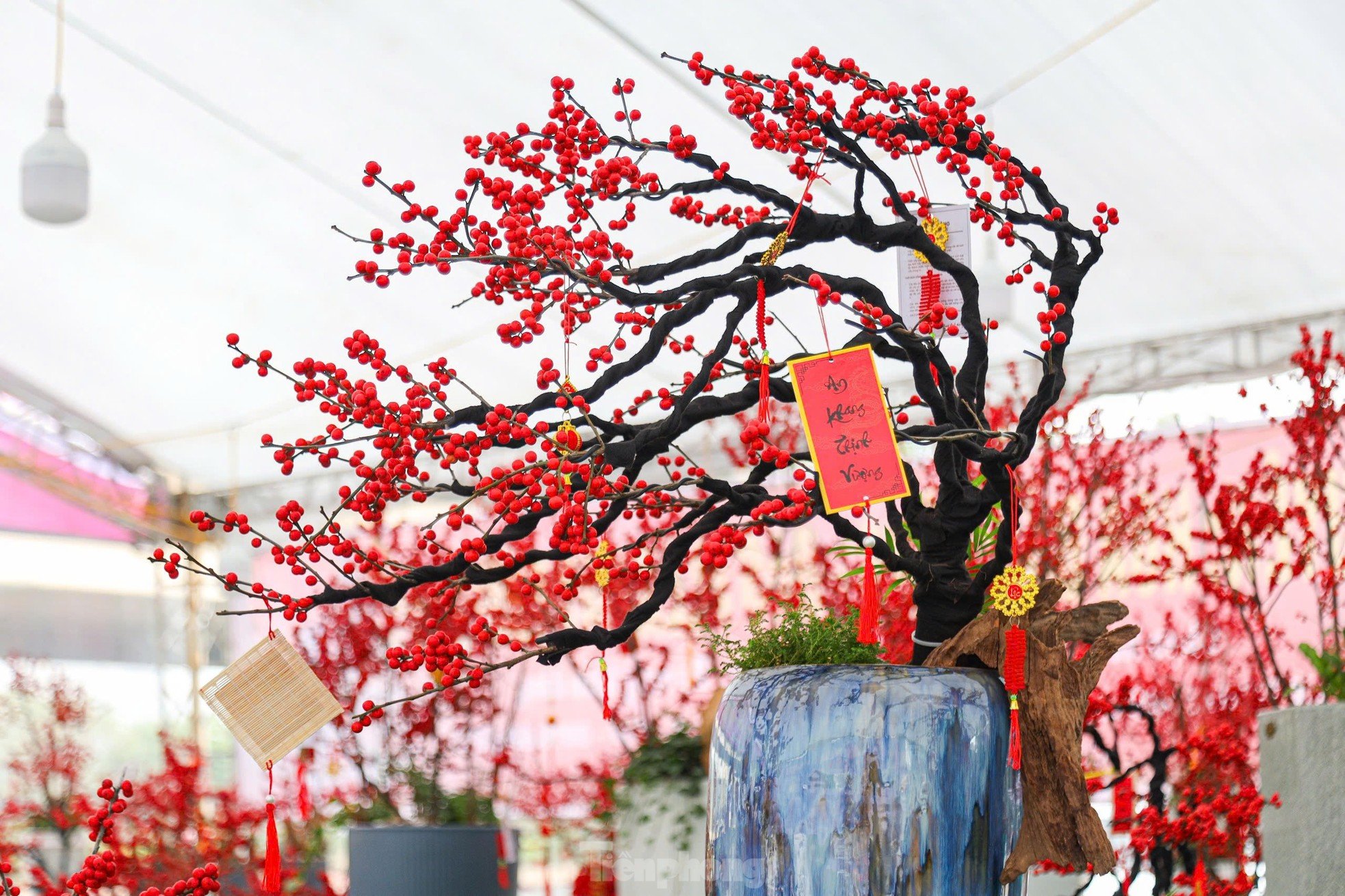 Fresh peach blossoms combined with driftwood worth hundreds of millions of dong still attract customers photo 4