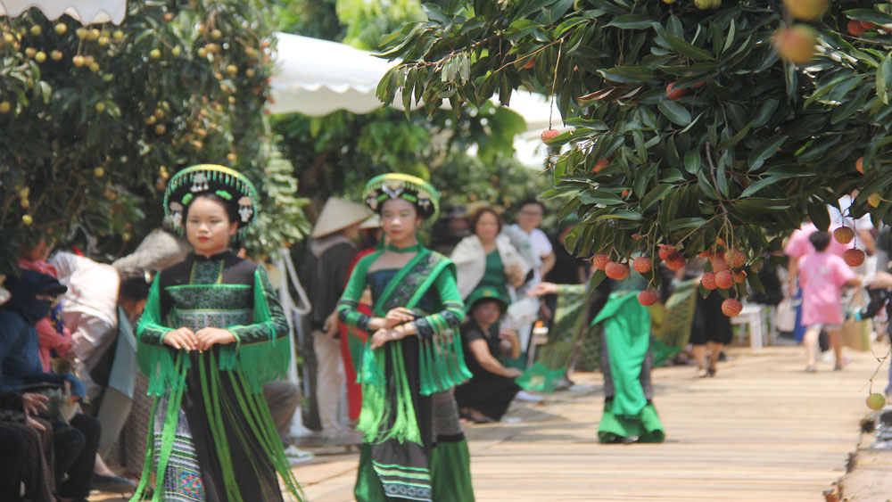 vải thiều, Bắc Giang, Lục Ngạn, thời trang, giáp Sơn