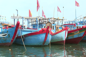 37 barcos pesqueros en las comunas de Hai An y Hai Khe no se han registrado de acuerdo con la normativa.