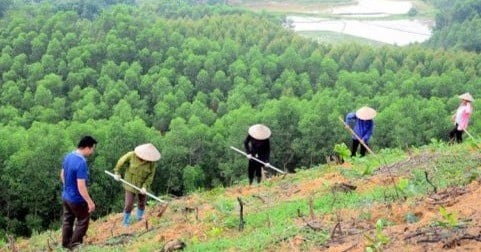 Request to resolve land disputes at agricultural and forestry companies