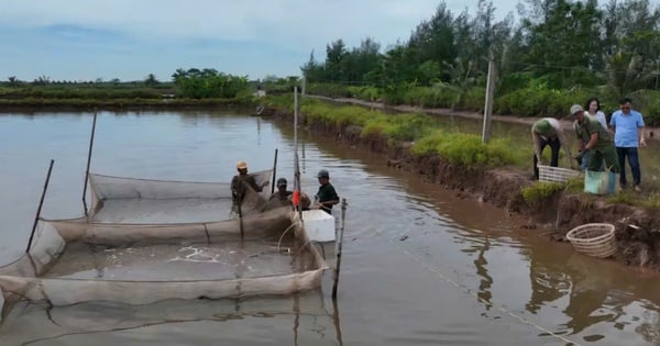 17/17 households agreed to hand over the land in Con Xanh area.