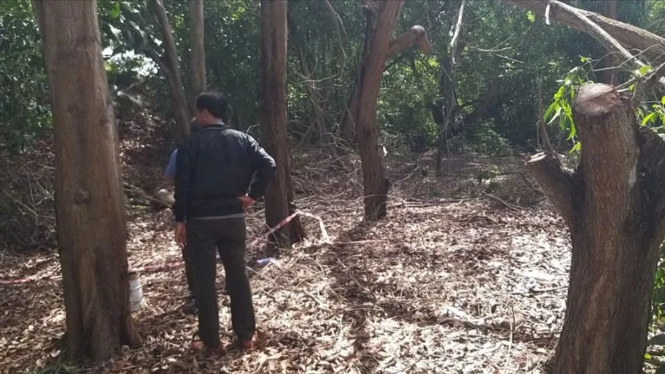 Una persona murió en la Reserva Natural Binh Chau - Phuoc Buu