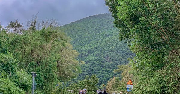 Des arbres tombés après la tempête n°6 constituent un danger sur le col de Hai Van