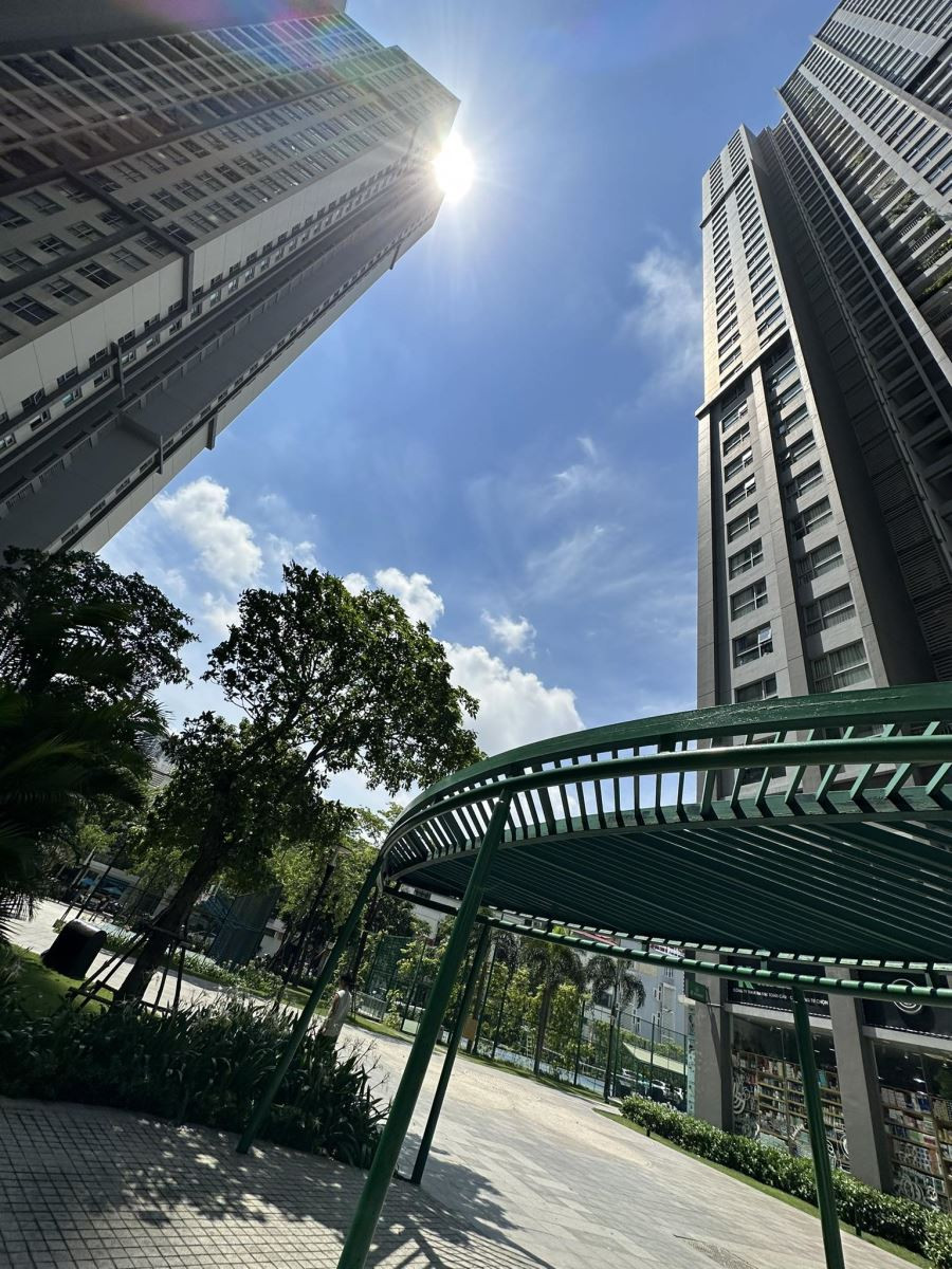 사진 설명