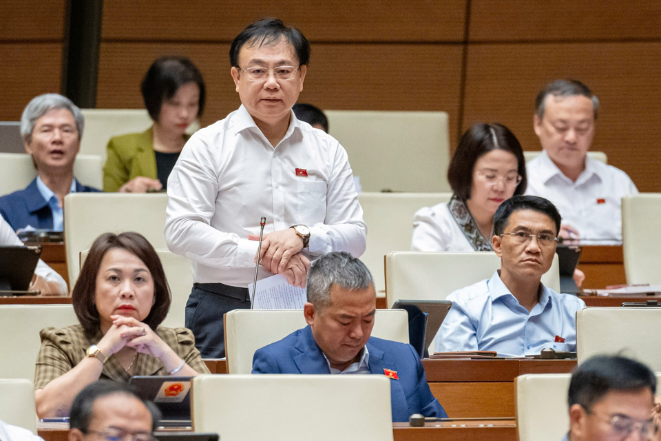 グエン・コン・ロン議員（ドンナイ省国会代表団） - 写真：Media.quochoi.vn