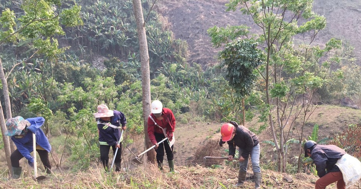 Ưu tiên giải quyết chính sách về đất đai cho đồng bào dân tộc thiểu số