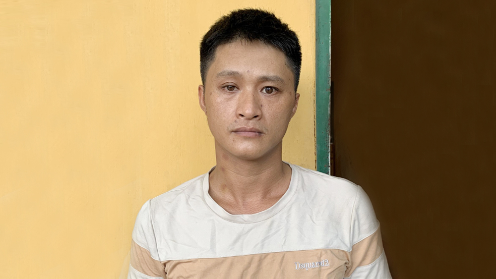 Luc Ngan police temporarily detained a suspect for fraud and property appropriation |=> Posted in Bac Giang newspaper