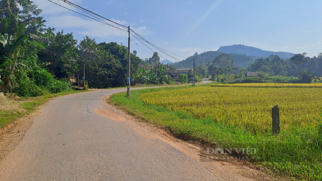 Xây dựng nông thôn mới kiểu mẫu ở xã vùng cao Yên Bái, có thế mạnh trong phát triển nông nghiệp  - Ảnh 3.