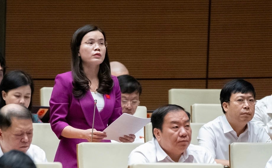 Delegado Vu Hong Luyen (Delegación de la Asamblea Nacional de la provincia de Hung Yen) - Foto: Quochoi.vn