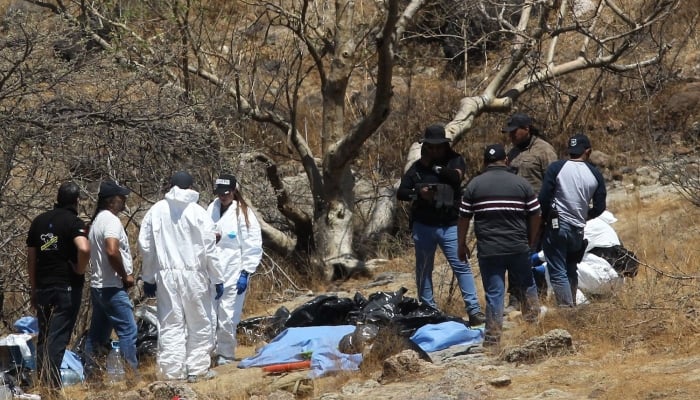 45 body bags found in Mexico