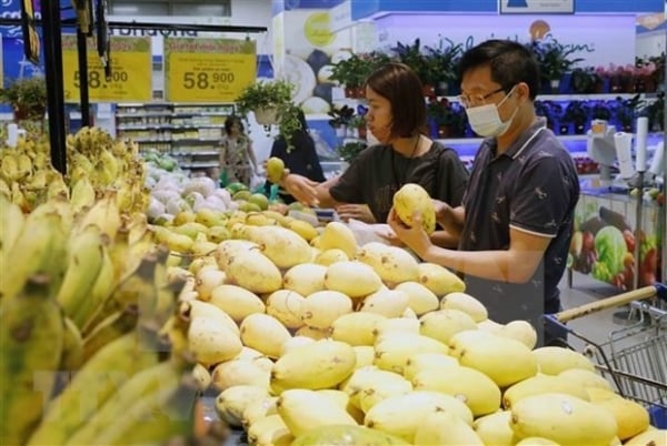 2024년 국내 소비 '맥박 짚어보기'