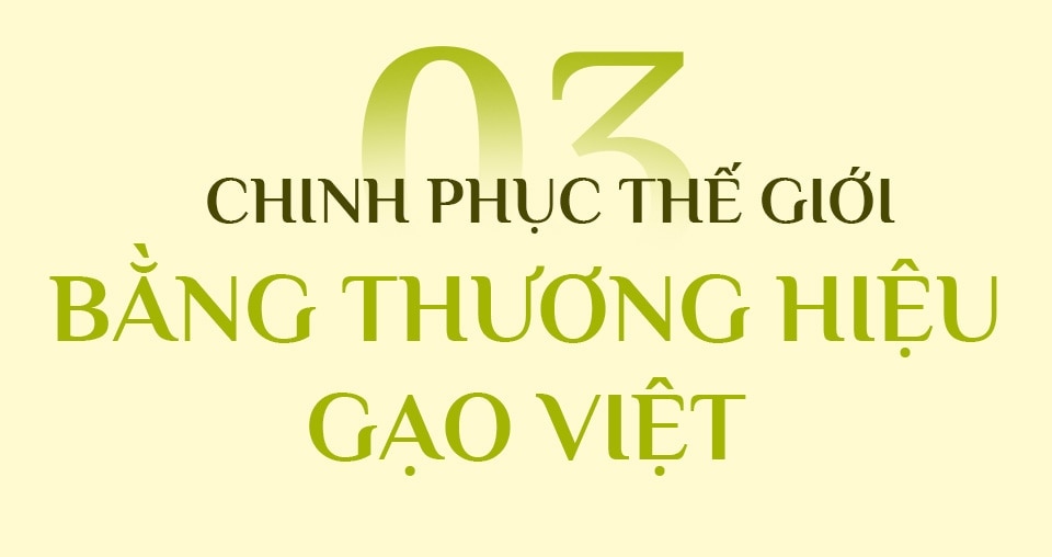 Từ hạt gạo làng ta vươn ra thế giới - Ảnh 7.