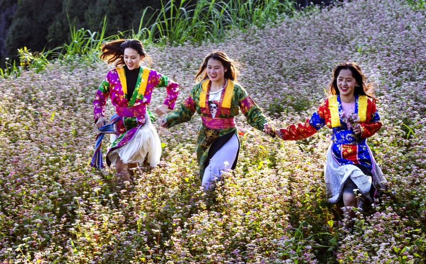 ハザン省は2024年のそば花祭りに向けて最高の条件を整える