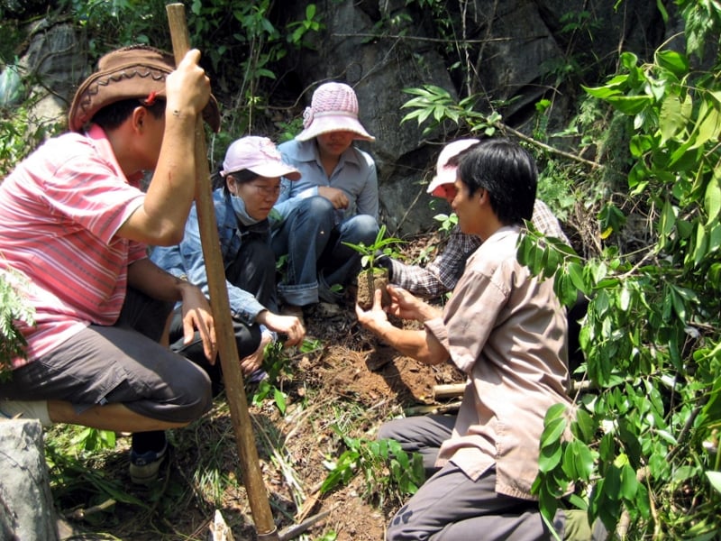 Hài Hòa Giữa Bảo Tồn Và Phát Triển Bền Vững: Hành Trình Gìn Giữ Di Sản Thế Giới Vịnh Hạ Long