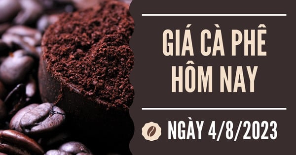 Giá cà phê hôm nay 4/8: Robusta quay đầu giảm