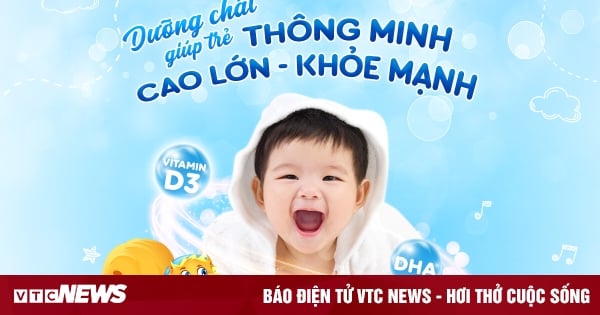 Nhỏ giọt Wizee D3 K2