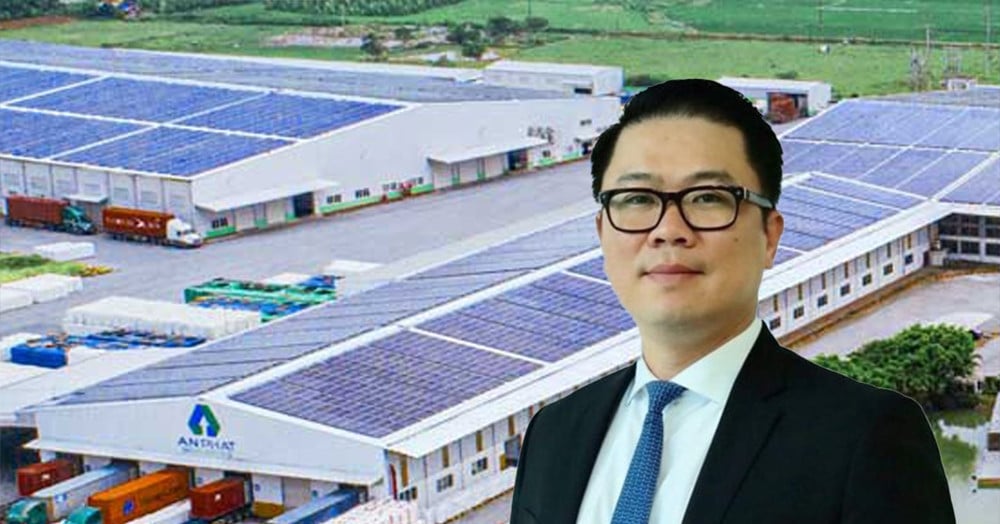 Withdrawing from the chairmanship, Nam Dinh tycoon wants to sell all shares