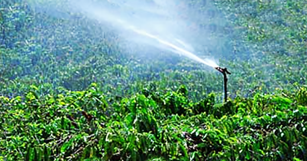 Watering the dry fields of the poorest households in Lam Dong