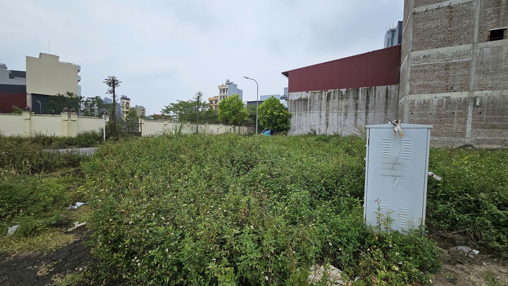 Primer plano de un terreno con vista al cementerio subastado por 262 millones de VND/m2 en Hanoi foto 5