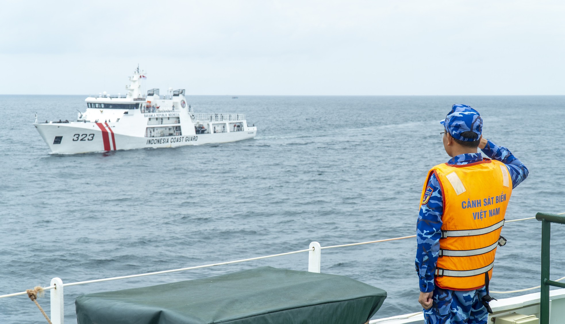 Vietnam - Indonesia Coast Guard conducts joint training at sea photo 6