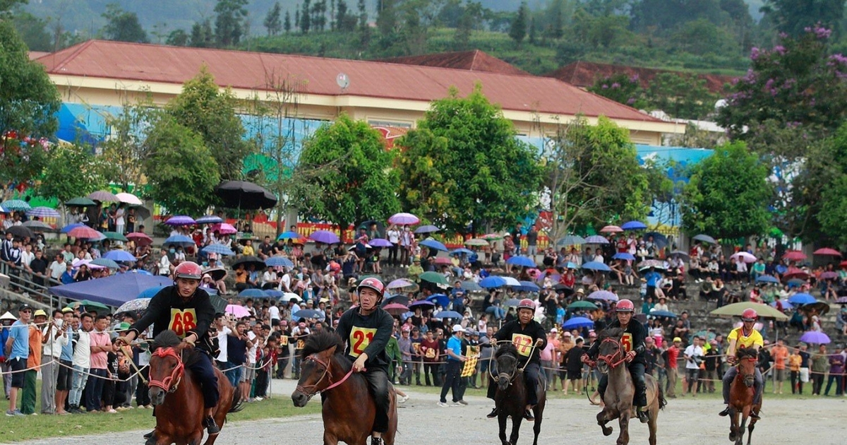 Bac Ha White Plateau Festival: Horse hooves have resounded