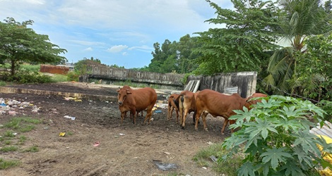 El proyecto de la carretera de circunvalación número 2 de 2,7 kilómetros de la ciudad de Ho Chi Minh todavía se encuentra en un punto muerto en el pago del fondo de tierras.