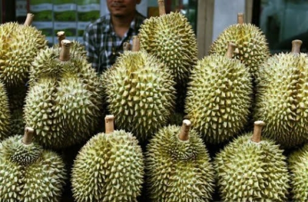 Durian prices continue to rise sharply; coffee prices fall sharply again