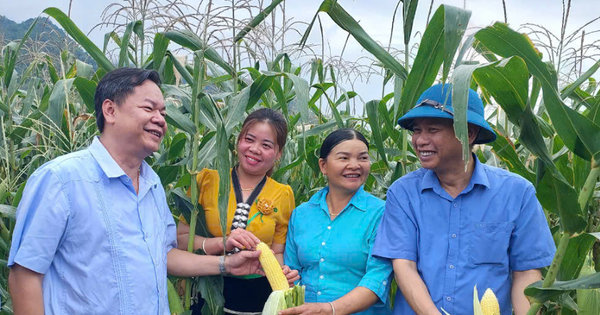 ស្ពានរវាងកសិករ អាជីវកម្ម សហករណ៍ និងរដ្ឋាភិបាល