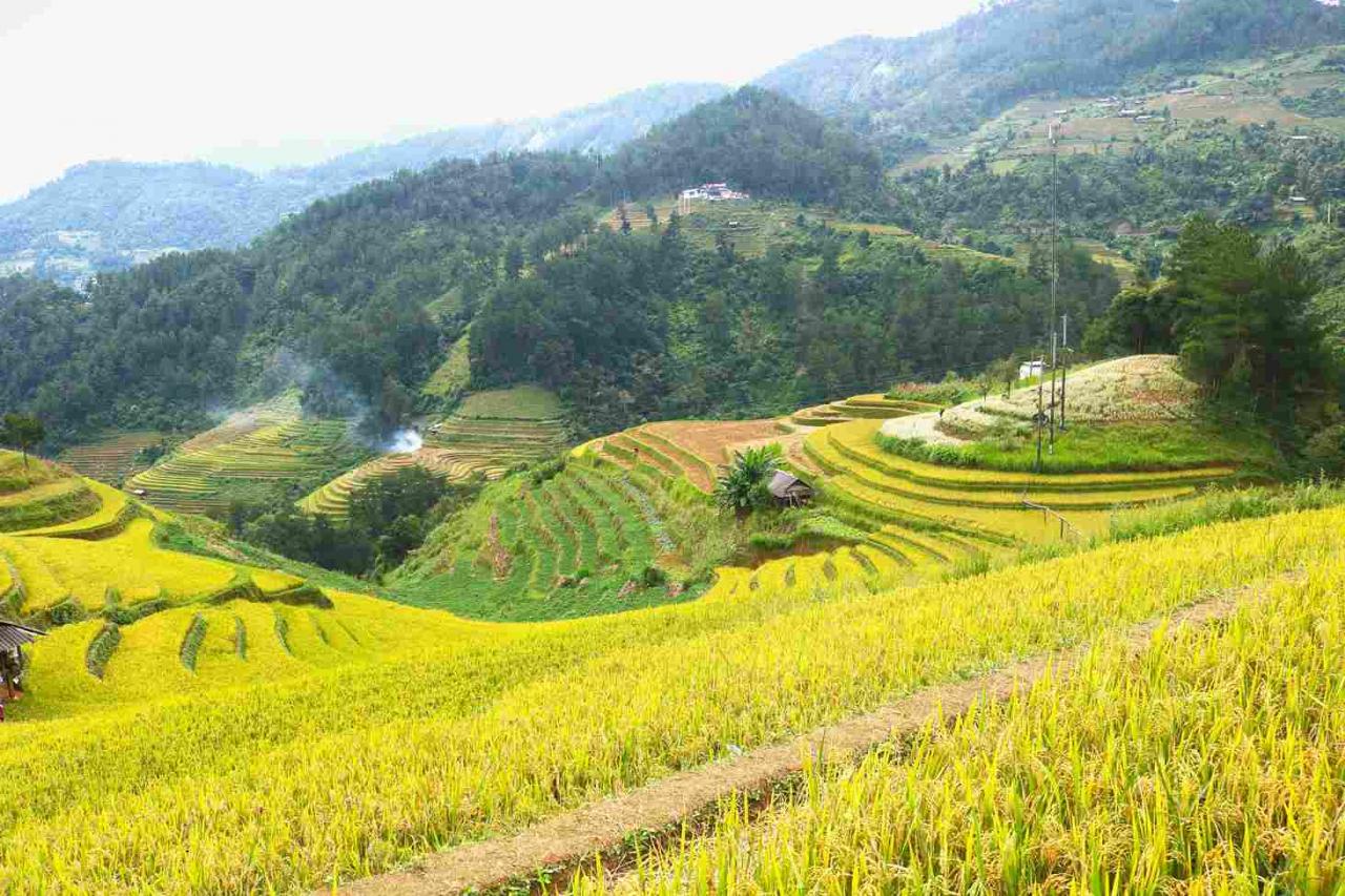 Mu Cang Chai is a mountainous district of Yen Bai province with a large population of Mong ethnic people.