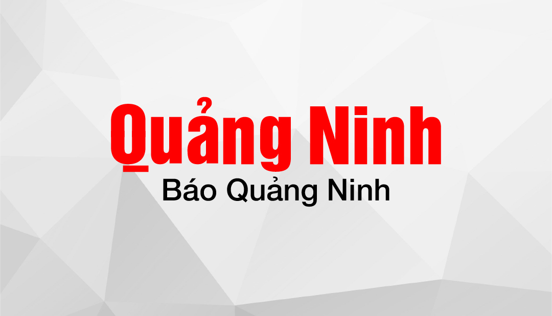 Thông tin về giải bơi thị xã Đông Triều năm 2023