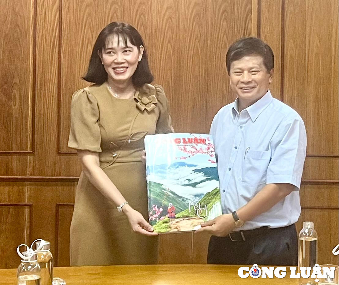 Le Comité populaire de la province de Hau Giang a participé à la conférence des journaux vietnamiens, photo 2