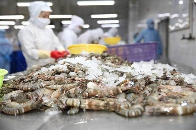 In 2024, what will shrimp exports to major markets be like?