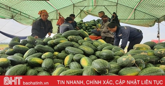 Hà Tĩnh chủ động điều chỉnh nhịp độ đưa hàng hóa lên biên giới phía Bắc