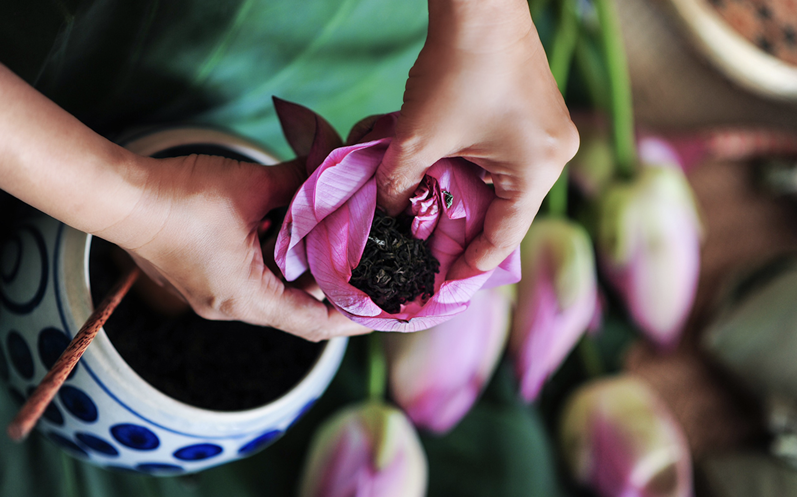 L'art unique de la préparation du thé au lotus - La beauté culturelle des habitants de Hanoi