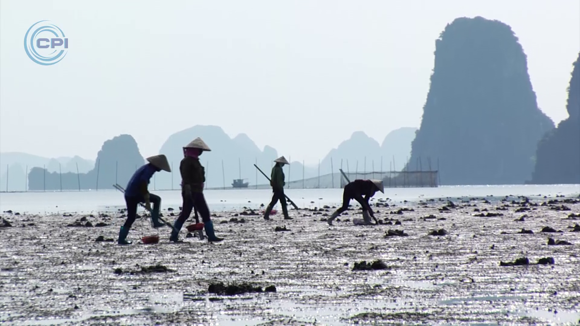 Folgen Sie den Fischern von Quang Ninh, um Sandwürmer zu fangen