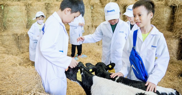 Kinder entdecken umweltfreundliche Technologien auf Öko-Farm und in grüner Superfabrik