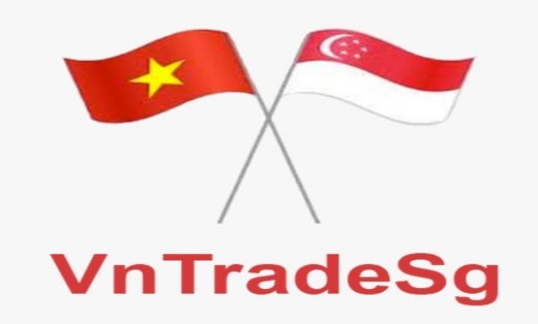 Tổng quan về Thương vụ Việt Nam tại Singapore