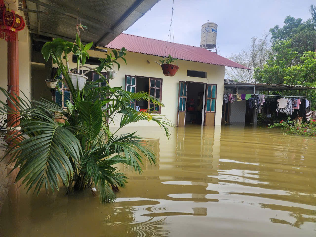 Chuong My hat nach den Überschwemmungen viele „Oasen“ – Foto 6