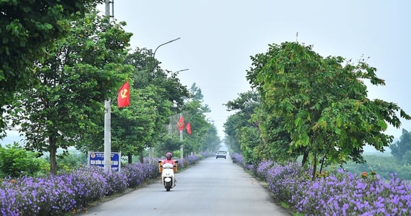 La commune répond aux normes NTM avancées, suscitant la fierté et la solidarité des habitants du district de Ba Vi, à Hanoi.