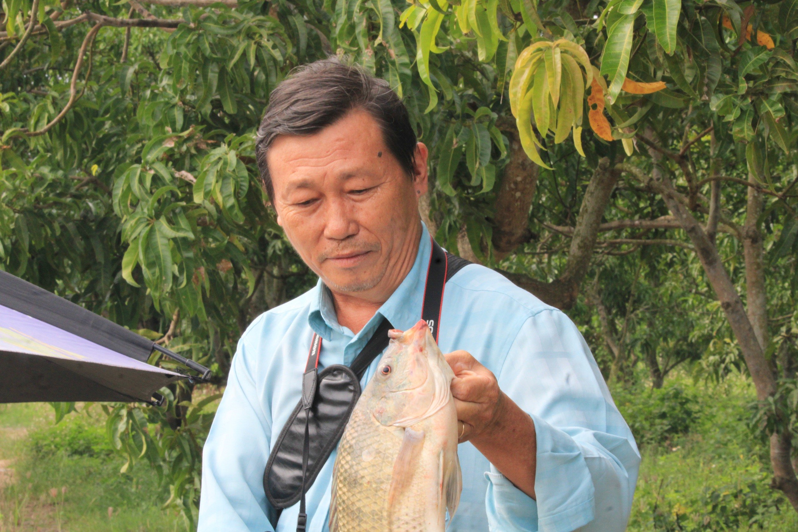 Đào ao thả 2 loại cá gì, cho thiên hạ vô câu cá giải trí, ai ngờ ông nông dân Khánh Hòa giàu hẳn?- Ảnh 6.