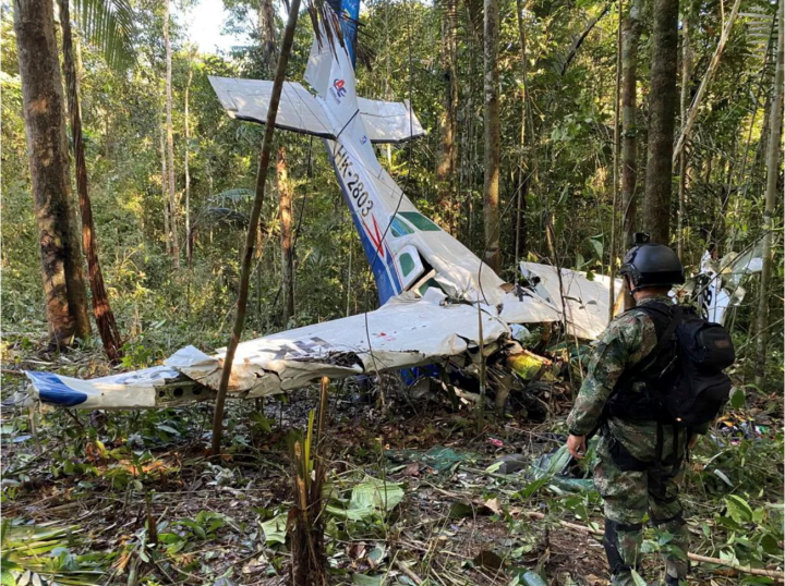 4 enfants survivent après 40 jours perdus en Amazonie : Miracle de la forêt verte - 2