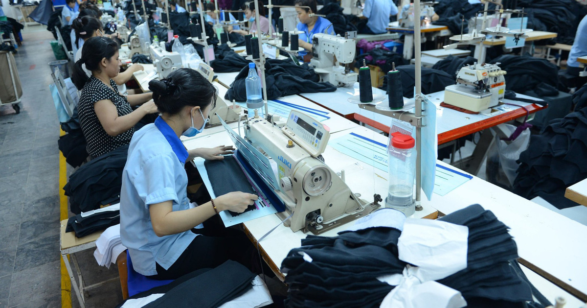 Garment company has no orders for 2 years, stock price plummets, receives 'bad news'