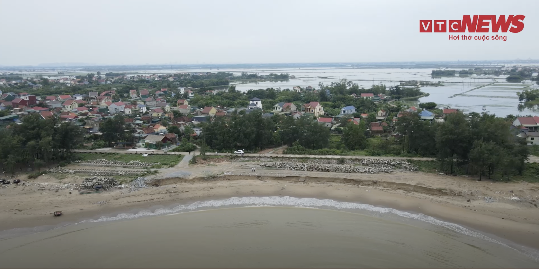 Ha Tinh: erosión costera, casuarinas arrancadas de raíz, cientos de familias preocupadas por la temporada de tormentas