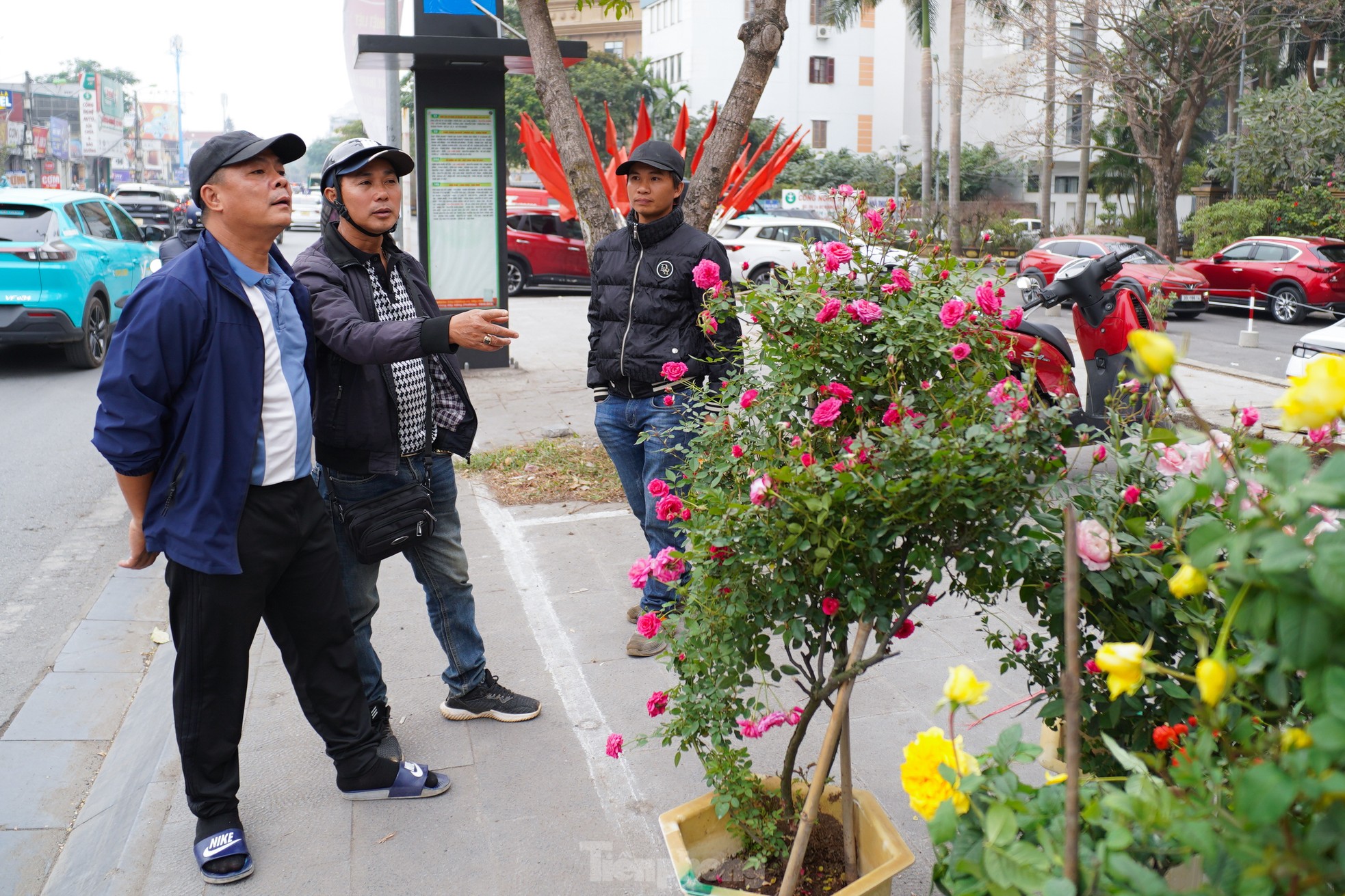 Quất đào giá trăm triệu hút 'giới nhà giàu' ảnh 16