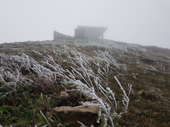 Frost formed on tree branches at 4 p.m. on January 22 at Mau Son peak, Lang Son. (Photo: Hoang Quoc Huy).