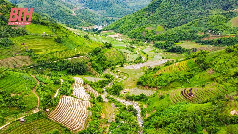 ไปทำงานที่ทุ่งนาในเขตชายแดนห่างไกลของThanh Hoa