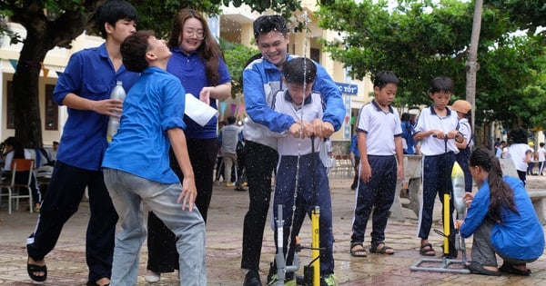 Des projets de volontariat pour garder l'île de Phu Quy verte