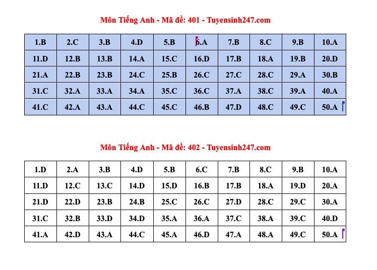 Kỳ thi tốt nghiệp THPT 2024: Đáp án tham khảo môn Tiếng Anh