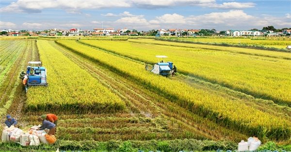 Publication d'un ensemble d'indicateurs sur le suivi et l'évaluation de l'agriculture, des agriculteurs et des zones rurales