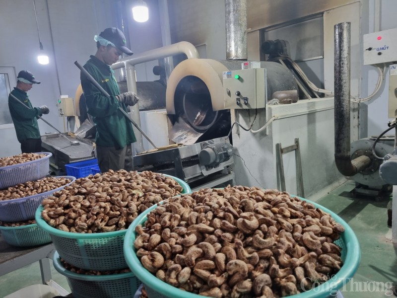 Cashew exports face new challenges, how to respond?